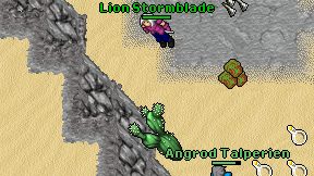 Lion Stormblade on screen