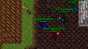 Apple plis on screen
