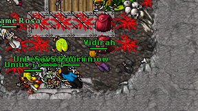 Vidirah on screen