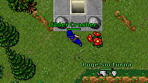 Elder Crasher on screen