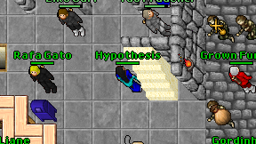 Hypothesis on screen