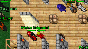 Withe Mage on screen