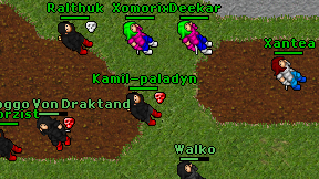 Kamil-paladyn on screen