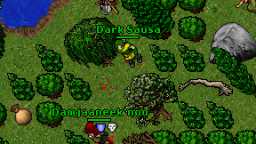 Dark Sausa on screen