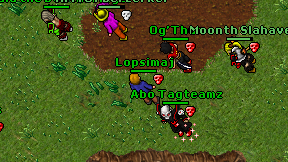 Lopsimaj on screen