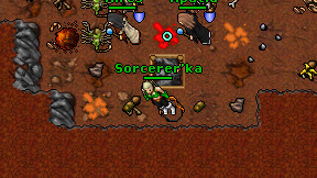 Sorcerer'ka on screen