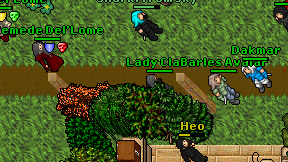 Lady Clara on screen