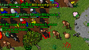Dazon Lunas on screen