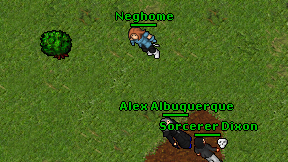 Neghome on screen
