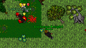 Dodiego Knight on screen