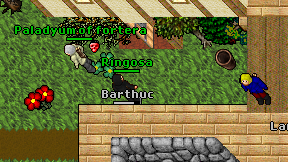 Ringosa on screen