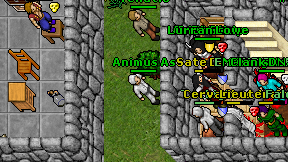 Animus As on screen