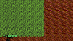 Kallisia on screen