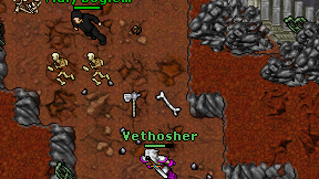 Vethosher on screen