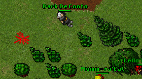 Dark De Conto on screen