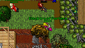 Elecktra of Fortera on screen