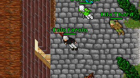 Kolo fazolo on screen