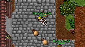 Drakeehc on screen