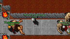 Master Rango on screen