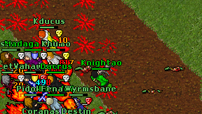 Knightao on screen