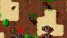 Leetz on screen