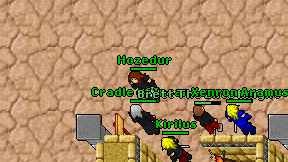Hozedur on screen