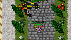 Kazlavek on screen