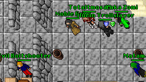 Noble Frog on screen
