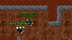 Elite Quick on screen