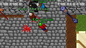 Kurig Tran on screen
