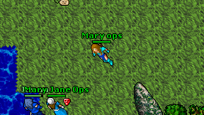 Mary ops on screen