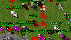 Moley on screen