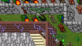 Page Garon on screen