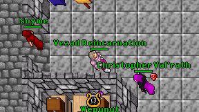 Vezad Reincarnation on screen