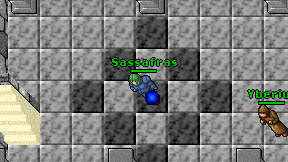 Sassafras on screen
