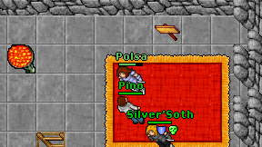 Polsa on screen