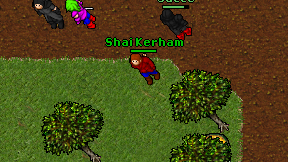 Shai Kerham on screen