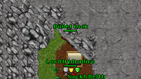 Bullet rock on screen