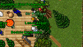 Lenarazgar on screen