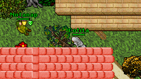 Cotita on screen