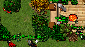 Valodix on screen