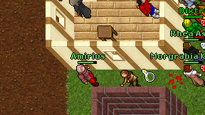 Amirius on screen