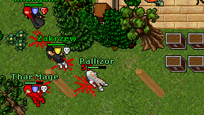 Pallizor on screen