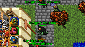 Knight Sir Leonard on screen