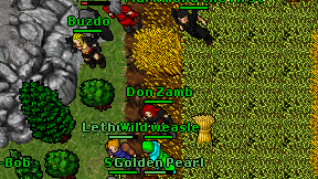 Don Zamb on screen