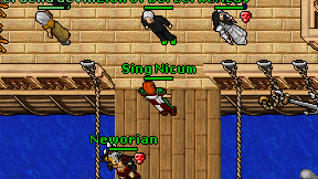 Sing Nicum on screen