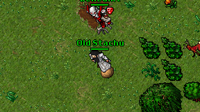 Old Stachu on screen