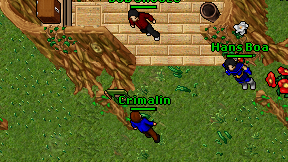 Crimalin on screen