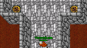 Neonham on screen