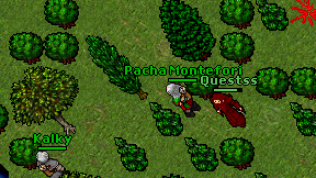 Pacha Montefori on screen
